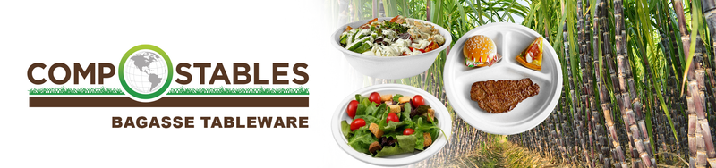 Bagasse Plates and Bowls