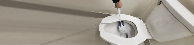Toilet Bowl Cleaning