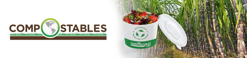 Paper Food Containers and Lids