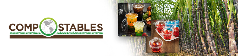 PLA Paper Cups and Lids