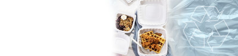 Recyclable Hinged <br> Containers
